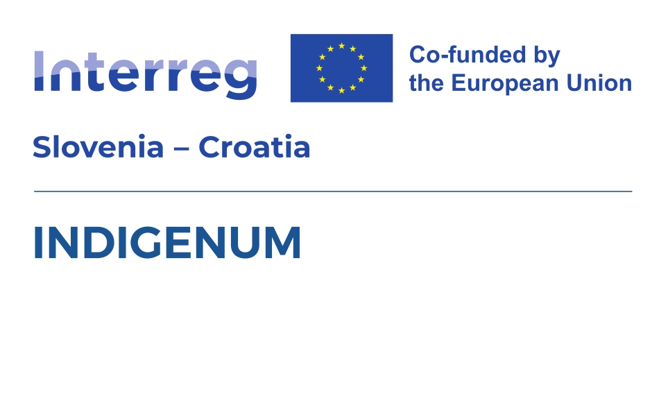 Logotip projekta INDIGENUM